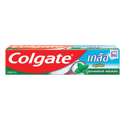 Colgate Toothpaste Salt Herbal 200g / (件)